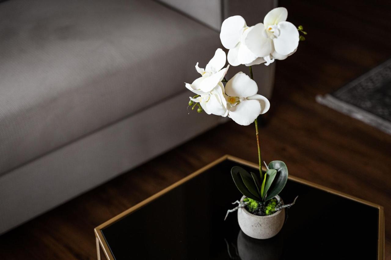 Glyfada Premium Residence 아테네 외부 사진